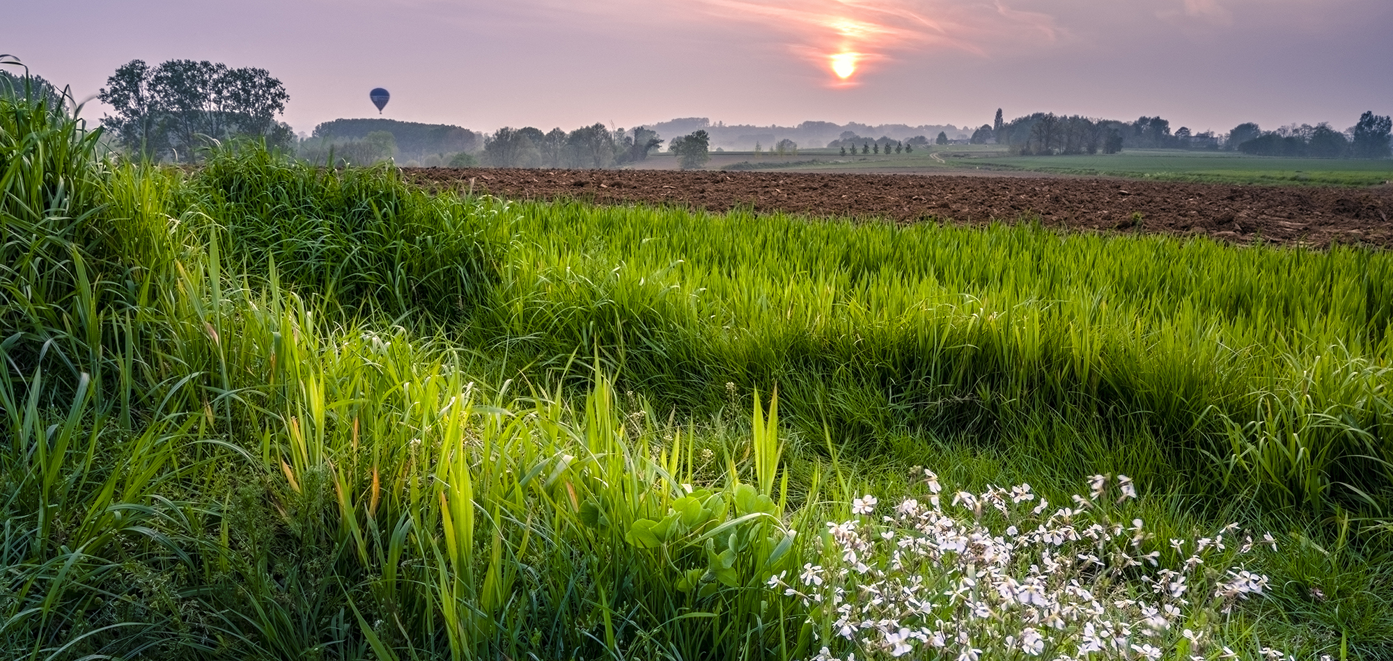 Wallonie