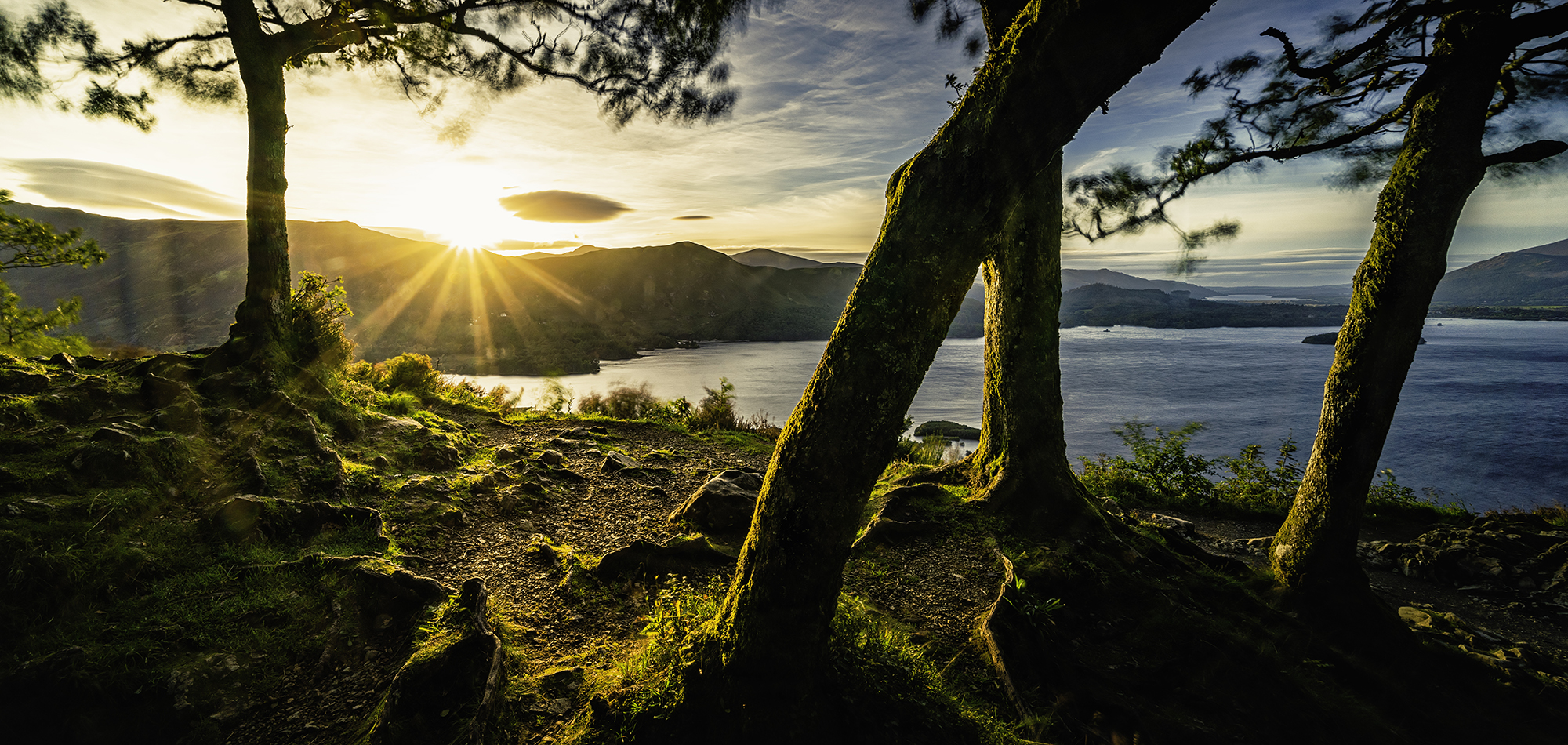 Paysage