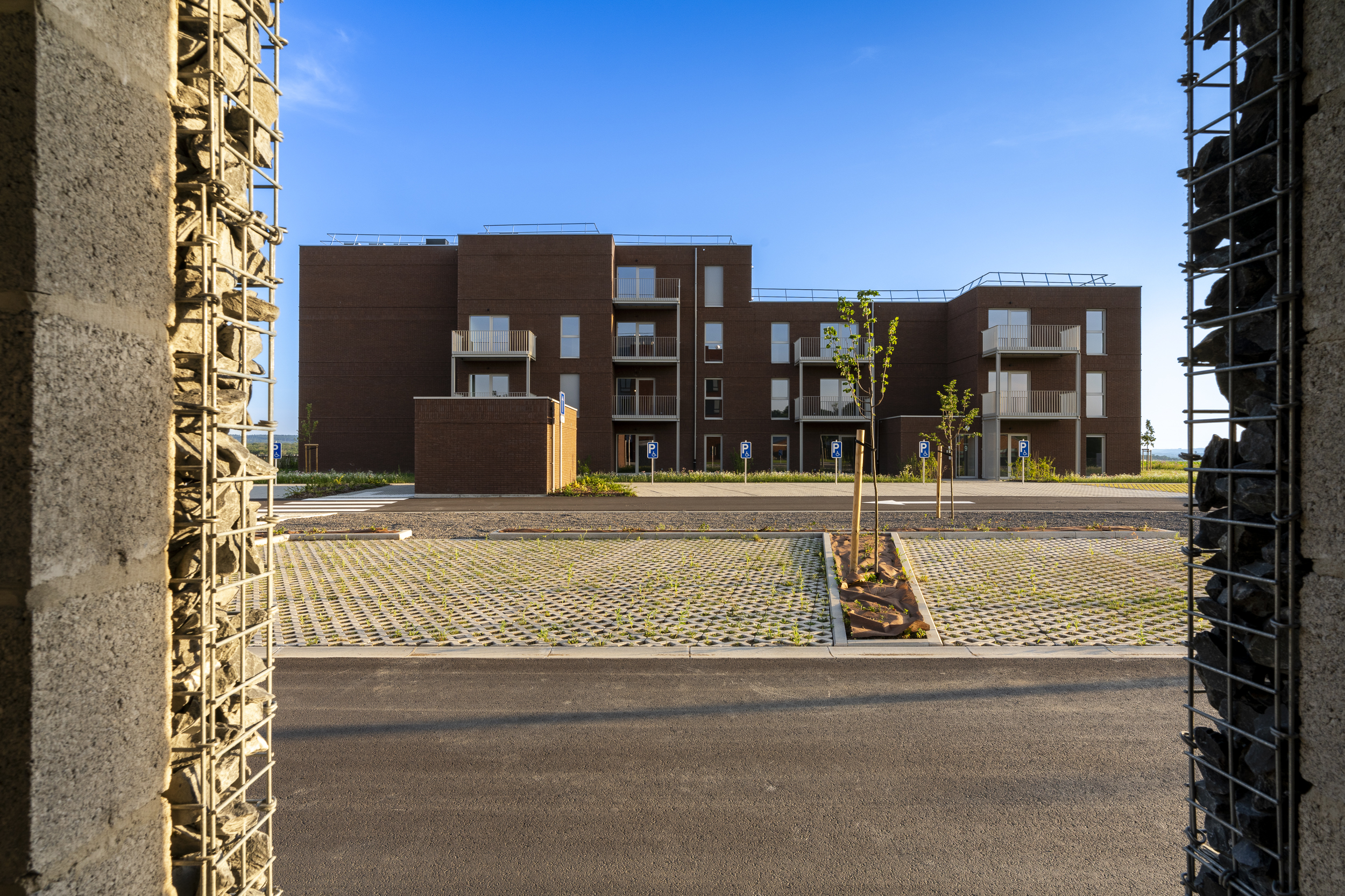 Archi